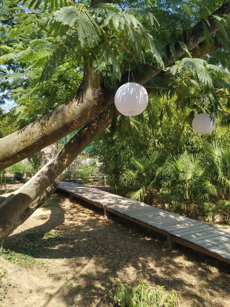 A Balaton titkos toszkán édenkertje: Folly Arborétum (+ szállásajánló)