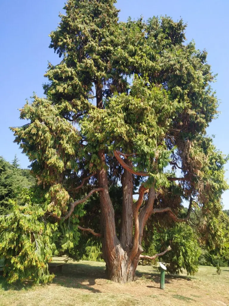 A Balaton titkos toszkán édenkertje: Folly Arborétum (+ szállásajánló)