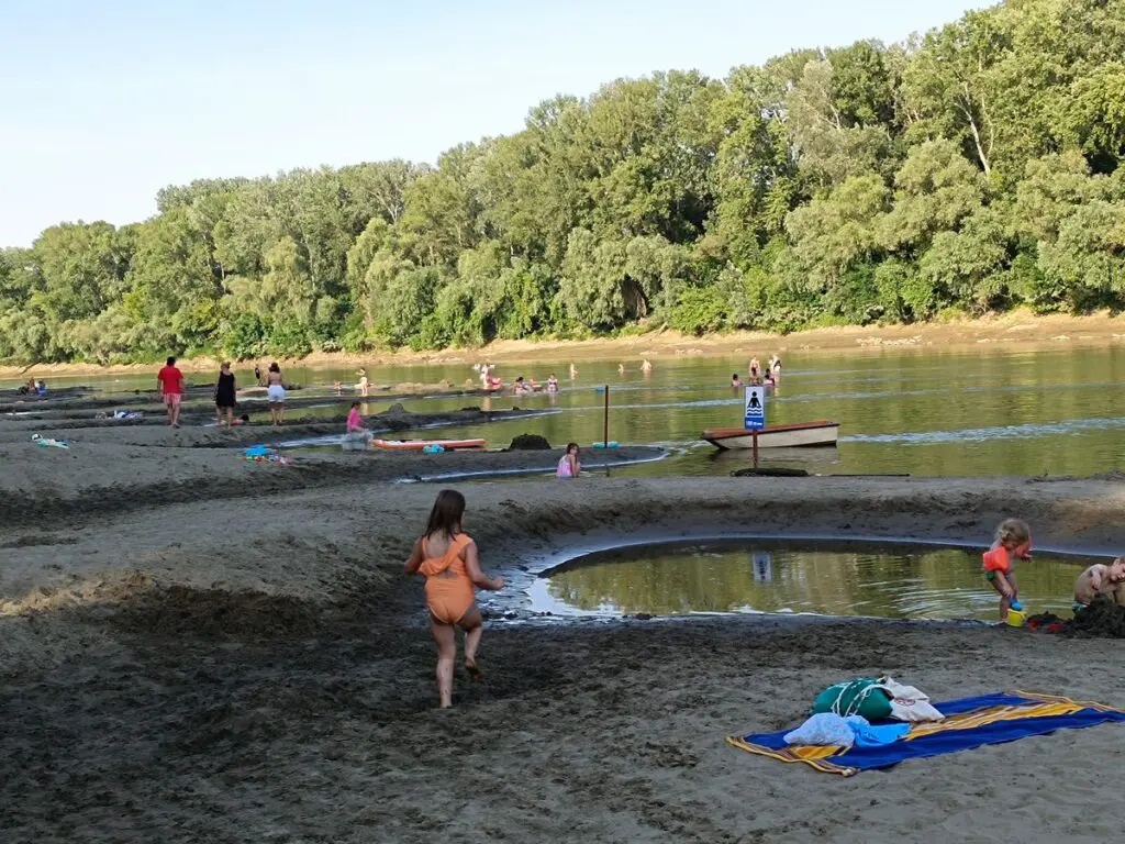 Nagykörűi lombkoronasétány és lombház - Bakancslistás hely a Tisza mellett