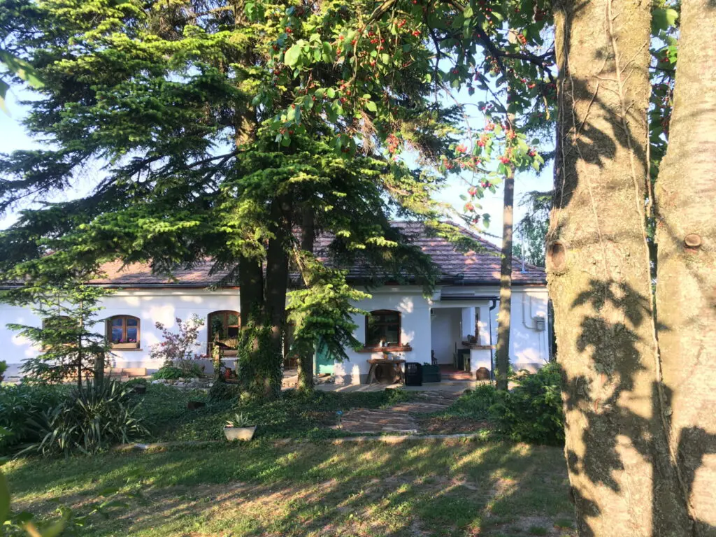 Nyári leárazás! - Használd ki az utolsó napsugarakat és pihenj olcsóbban szeptember végéig