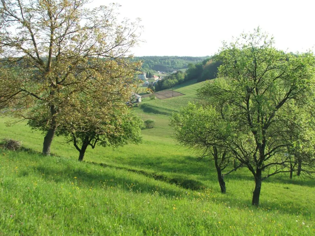 A hosszú élet titka: 10 hazai úti cél, ahol tehetsz a longevity-ért