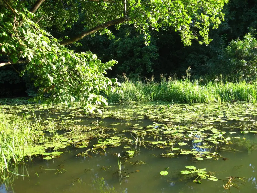 10 különleges látnivaló a Felső-Tisza vidékén, amit még nem ismersz
