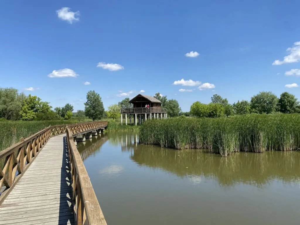 Tisza-part 2026 – 12 Tisza-parti program az év minden hónapjára, amiket tervezz be már most