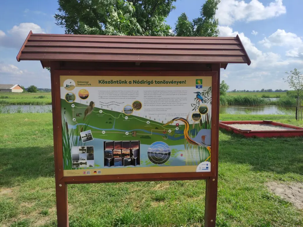 Különleges fapallós Tisza-parti séta – Nádirigó tanösvény Tiszakécskén