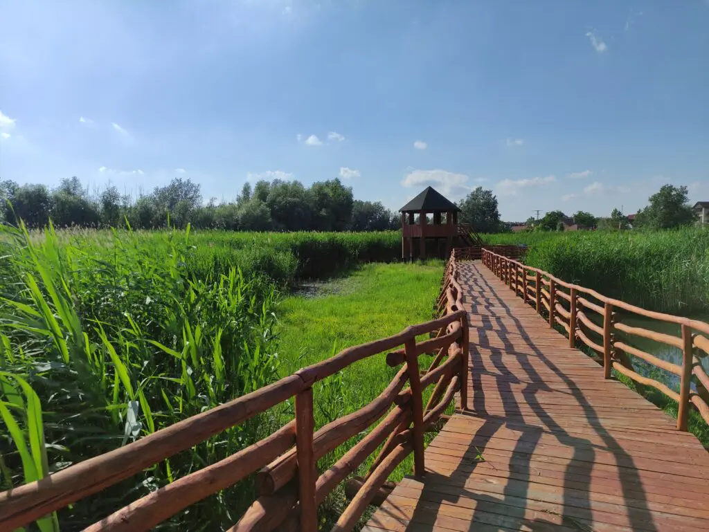 Különleges fapallós Tisza-parti séta – Nádirigó tanösvény Tiszakécskén