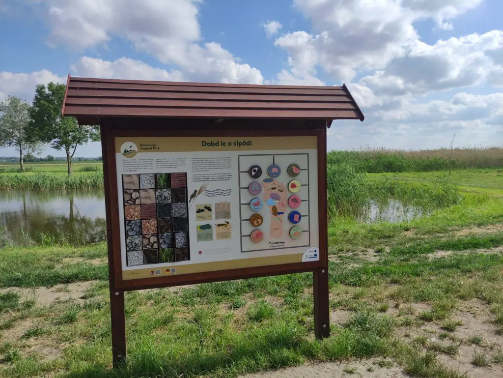 Különleges fapallós Tisza-parti séta – Nádirigó tanösvény Tiszakécskén