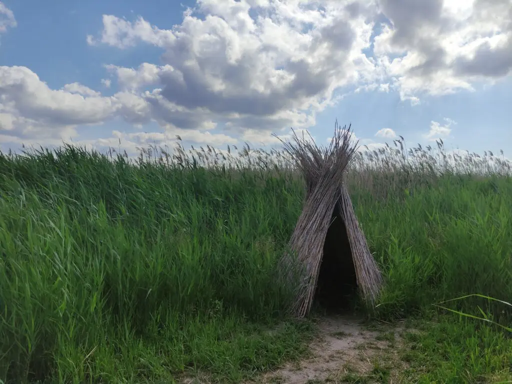 Különleges fapallós Tisza-parti séta – Nádirigó tanösvény Tiszakécskén