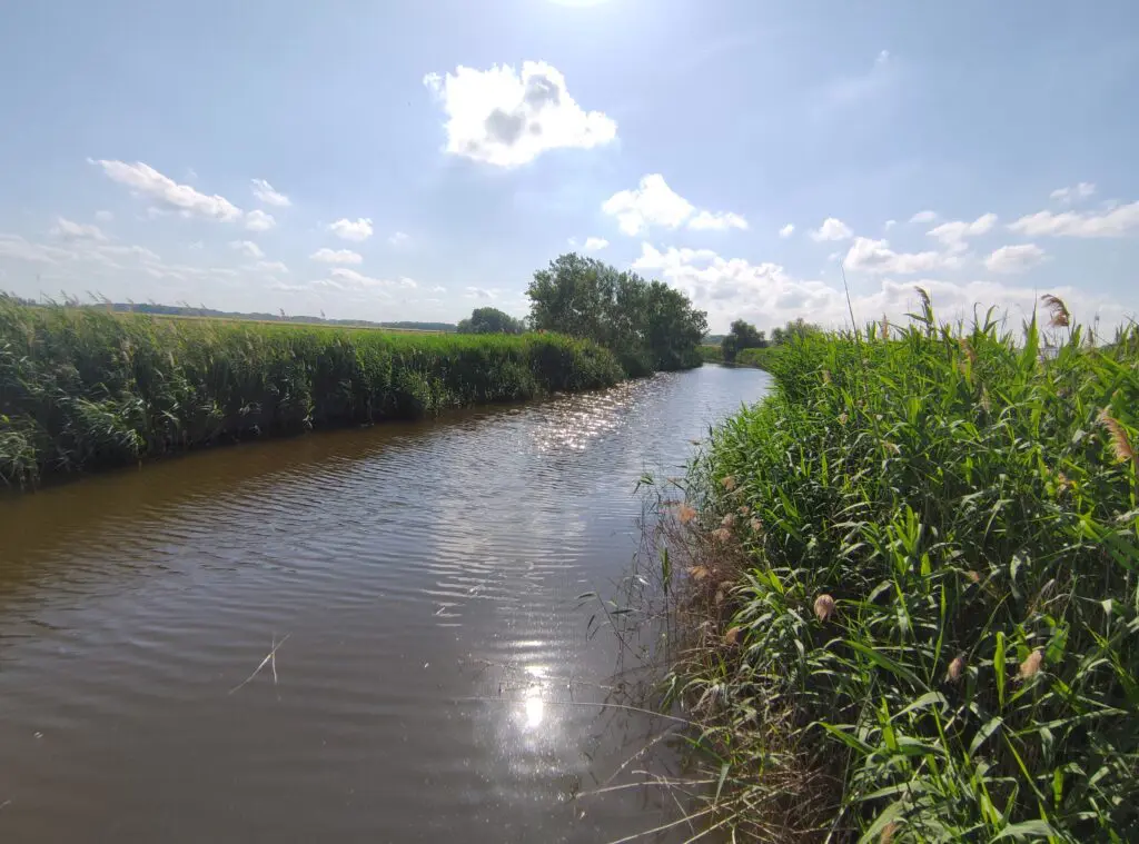 Különleges fapallós Tisza-parti séta – Nádirigó tanösvény Tiszakécskén