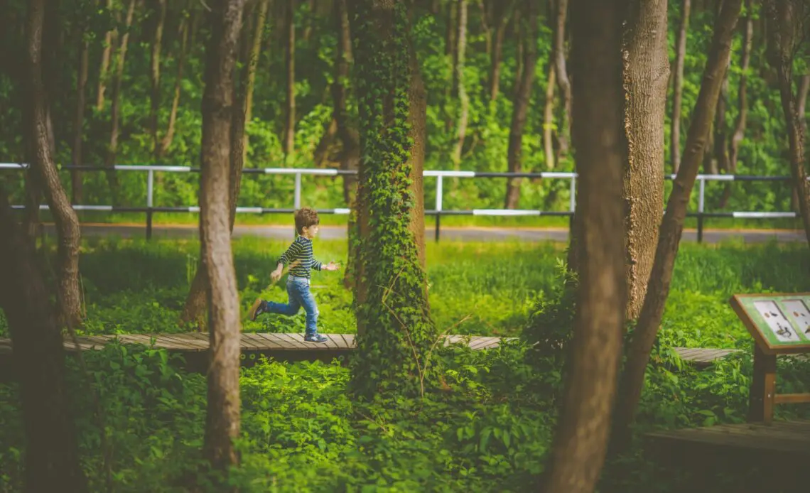 Header image