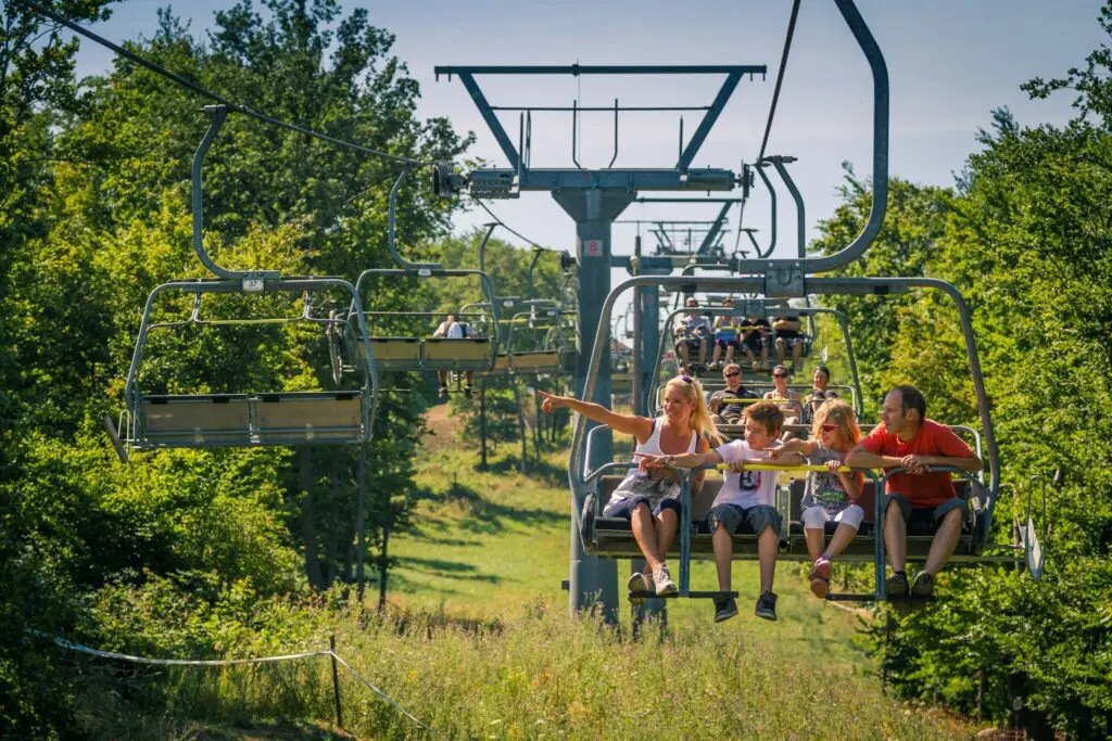 Négylábú oázis nyílt a Bakonyban! Ilyen kalandos lett a kutyás élménypark Eplényben