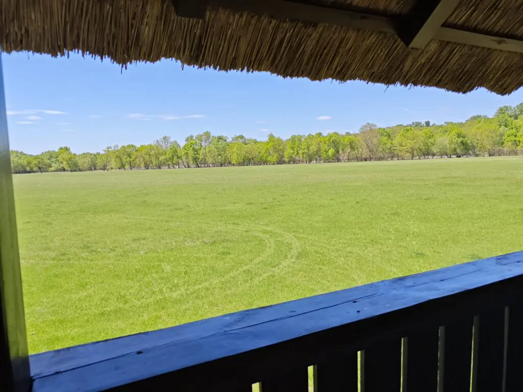 Tisza-menti kaland egy rejtett dzsungelben, itt az ideje megismerni Tőserdőt!