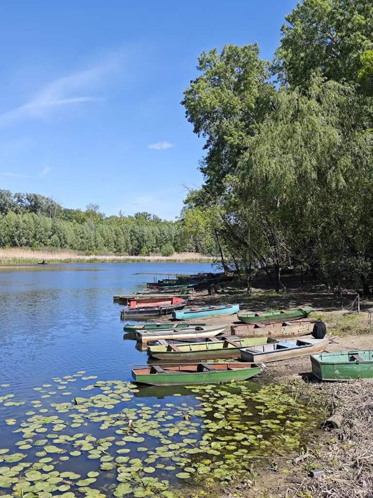 Tisza-menti kaland egy rejtett dzsungelben, itt az ideje megismerni Tőserdőt!