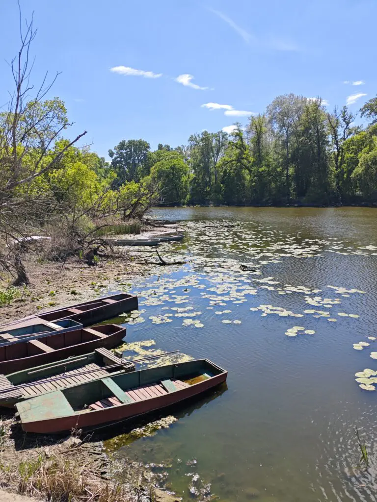 Tisza-menti kaland egy rejtett dzsungelben, itt az ideje megismerni Tőserdőt!