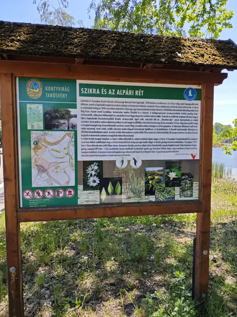 Tisza-menti kaland egy rejtett dzsungelben, itt az ideje megismerni Tőserdőt!