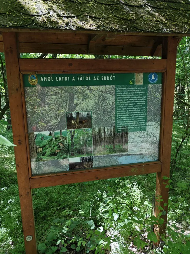 Tisza-menti kaland egy rejtett dzsungelben, itt az ideje megismerni Tőserdőt!
