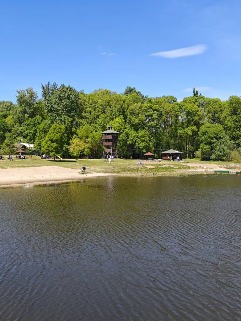 Tisza-menti kaland egy rejtett dzsungelben, itt az ideje megismerni Tőserdőt!