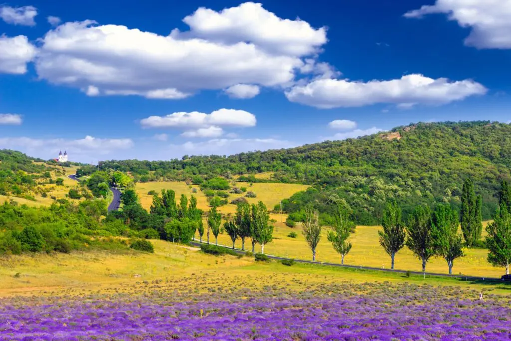 Balatoni Provence – A Balaton-felvidék titkos világa, amit látnod kell