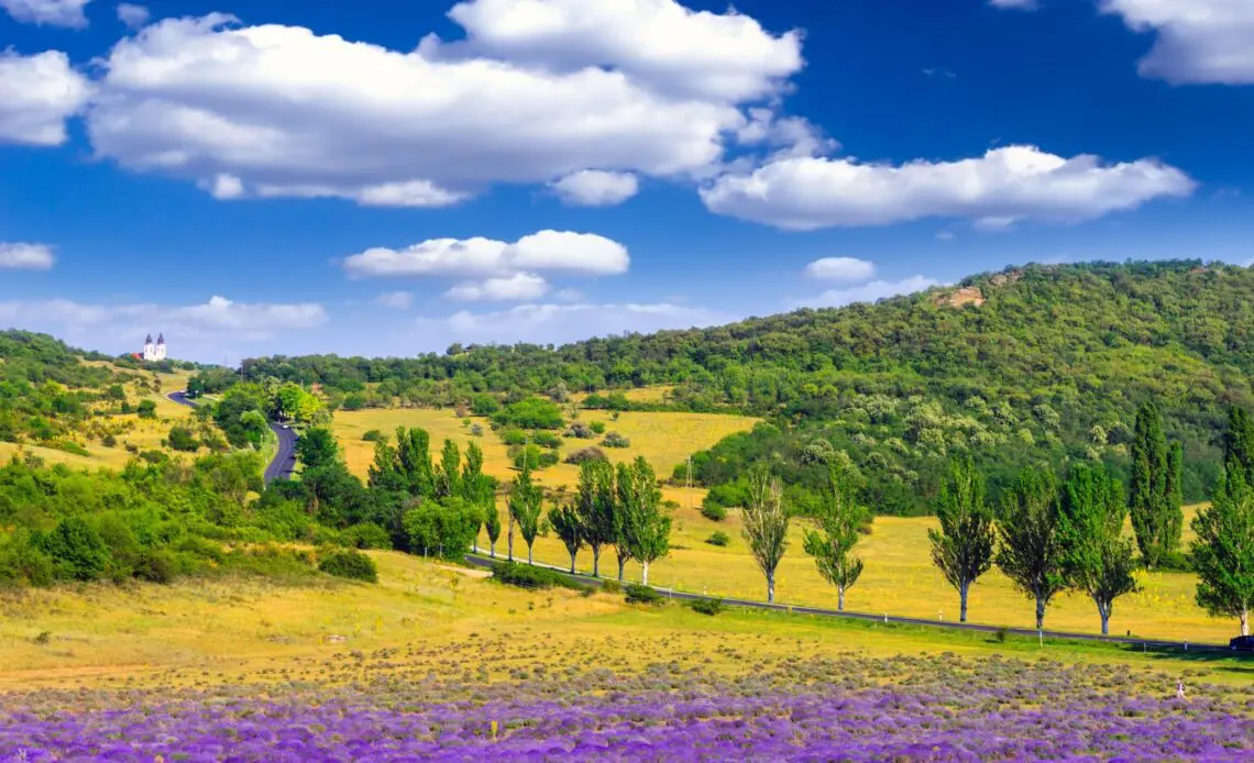balatoni provence