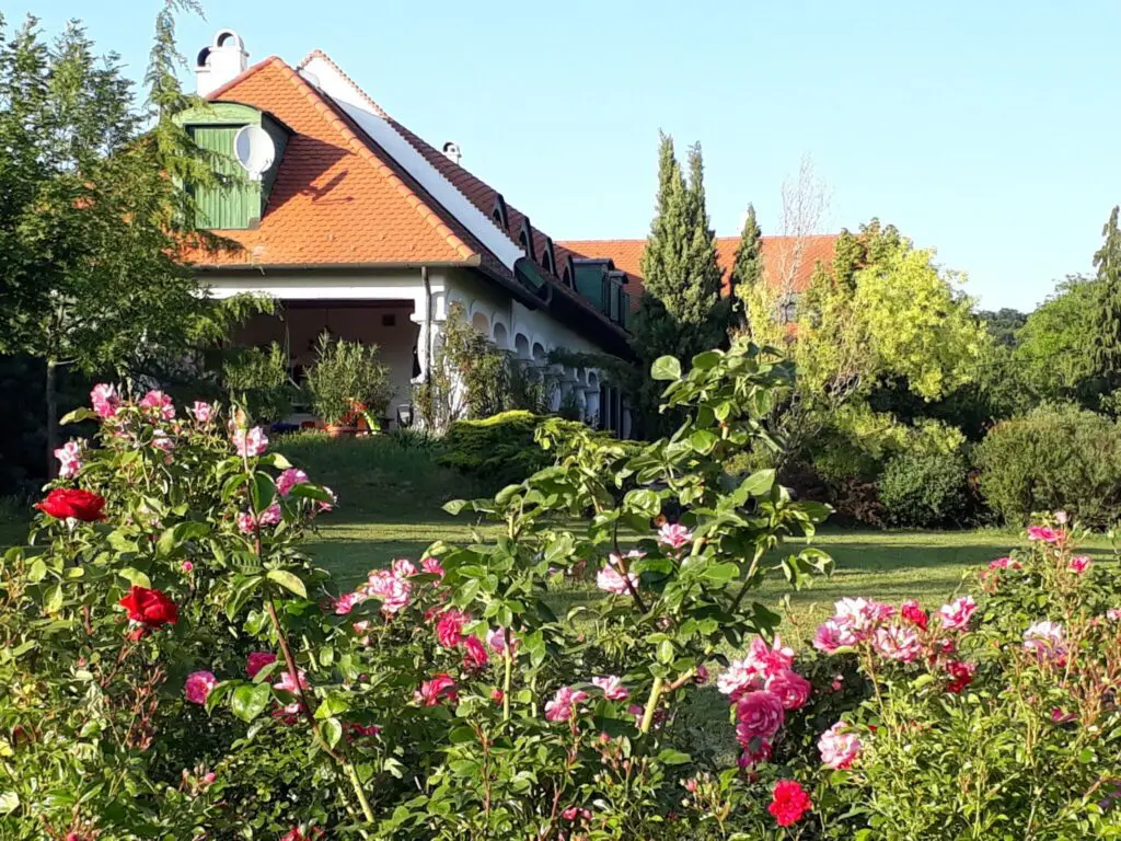 Balatoni Provence – A Balaton-felvidék titkos világa, amit látnod kell