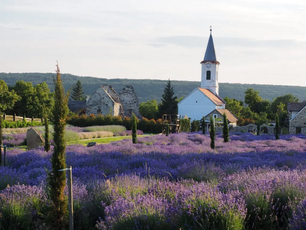 Balatoni Provence – A Balaton-felvidék titkos világa, amit látnod kell