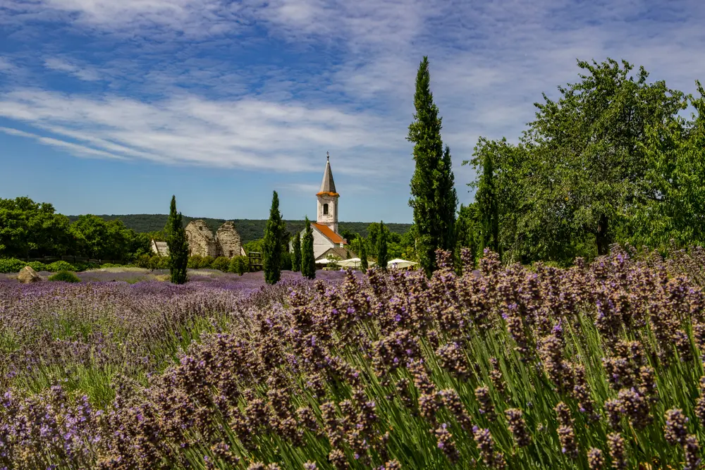 Balatoni Provence – A Balaton-felvidék titkos világa, amit látnod kell