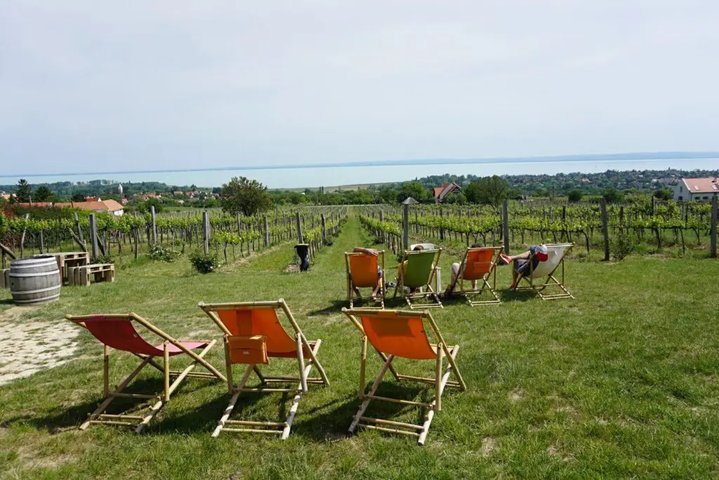 Balatoni Provence – A Balaton-felvidék titkos világa, amit látnod kell