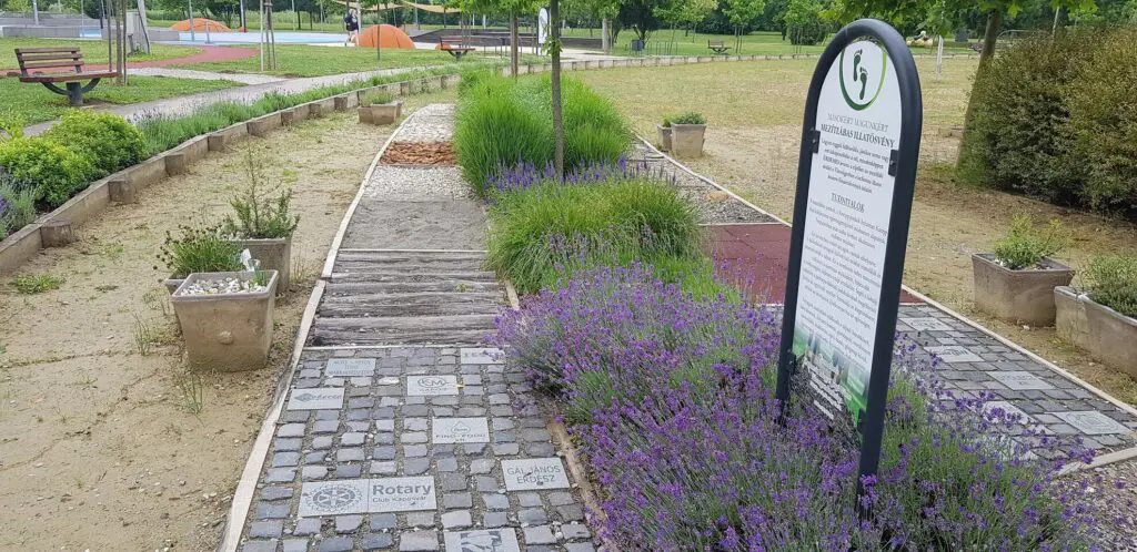 Természetes wellness: Top 10 Kneipp-ösvény és mezítlábas park, amit imádni fogsz!