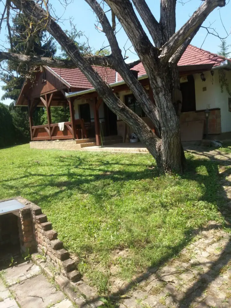 Természetes wellness: Top 10 Kneipp-ösvény és mezítlábas park, amit imádni fogsz!