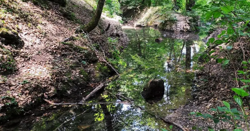 A hely, ahol tényleg beszippant a természet: Vízfő tanösvény