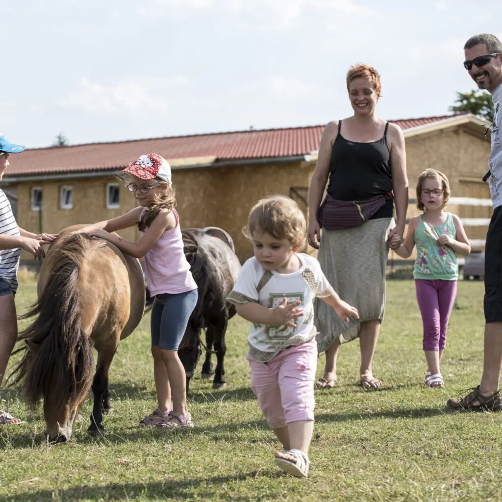 Pallósorok, vízitúrák, kapibarák: 15+ állatos program a Tiszánál, amit kár lenne kihagynod