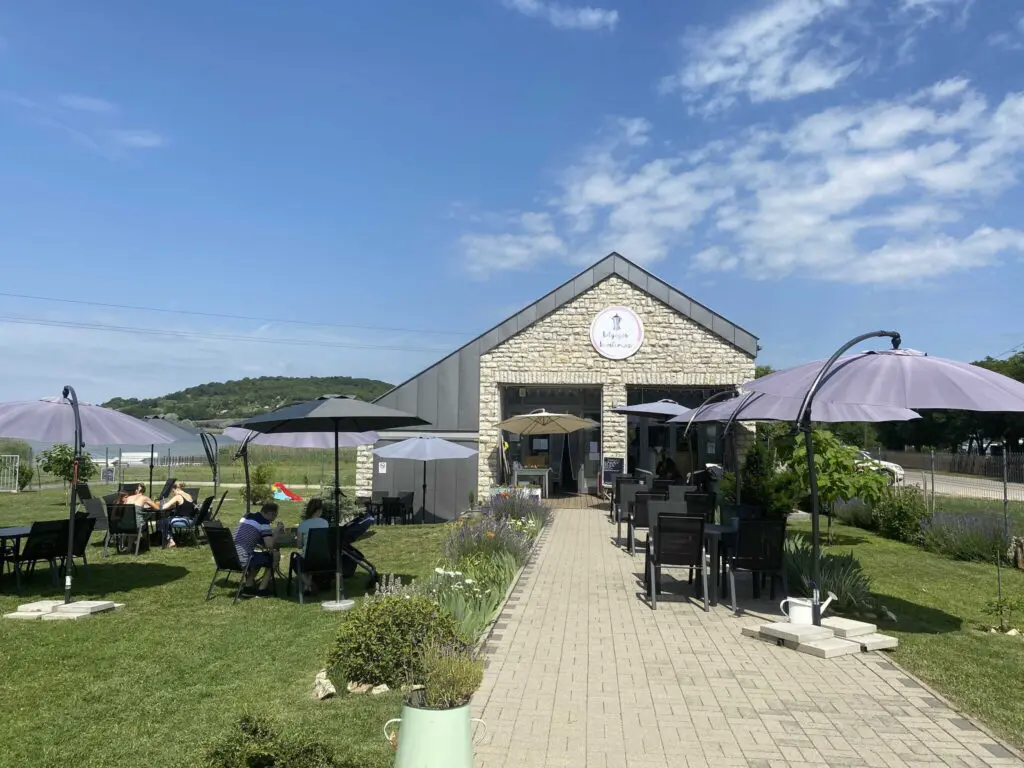 Ahol a napfény mellé ízélmények társulnak – 10 teraszos gasztrohely a Balaton északi partján