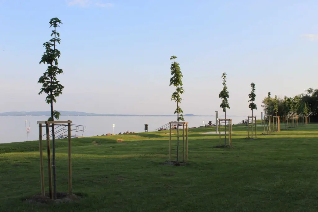 Ezek lettek 2026 legjobb balatoni strandjai a Kékhullám Zászló minősítés szerint