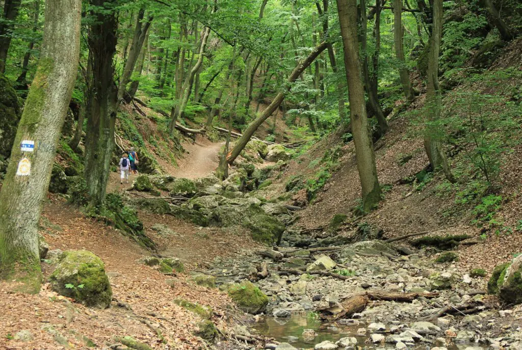 A Dera-szurdok felé vezető út