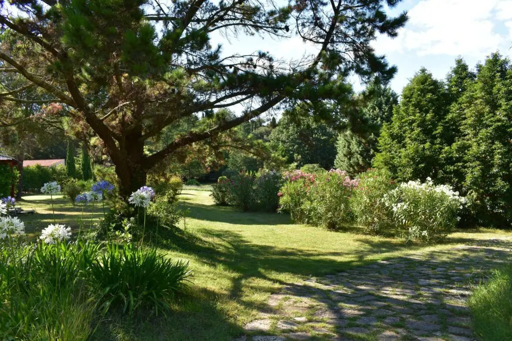 Mediterrán kert