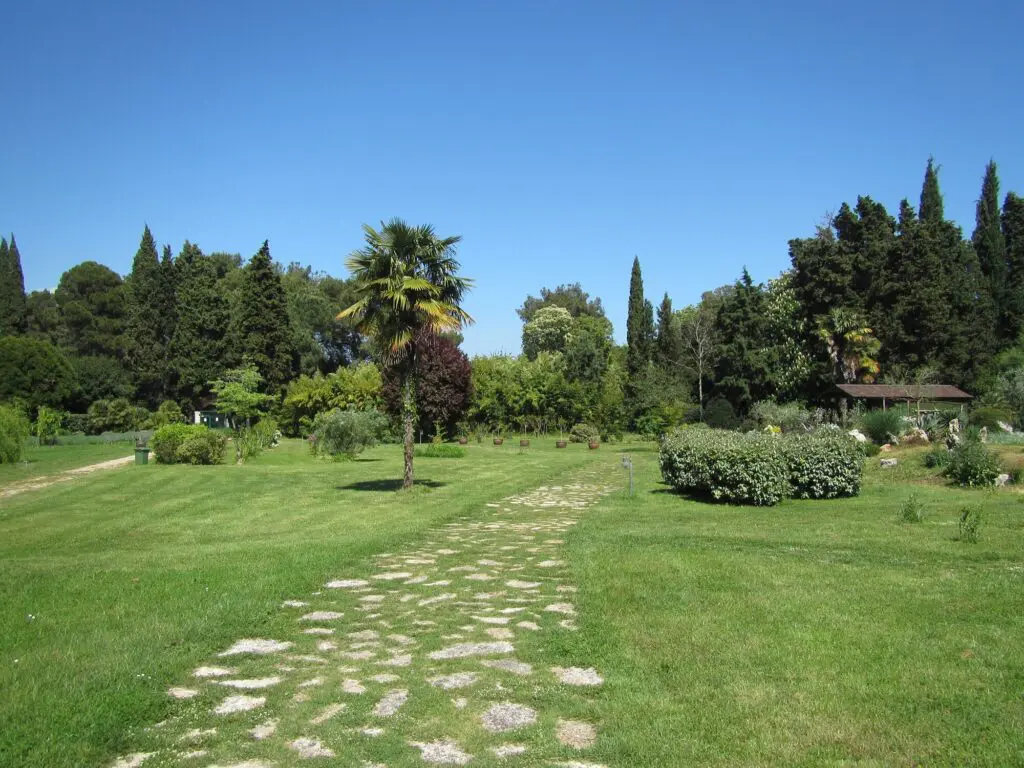 Mediterrán kert