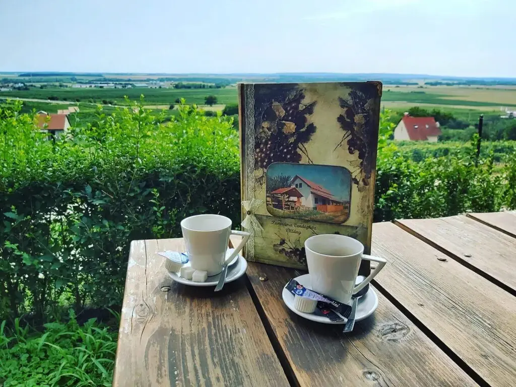 Panoráma Vendégház Villány