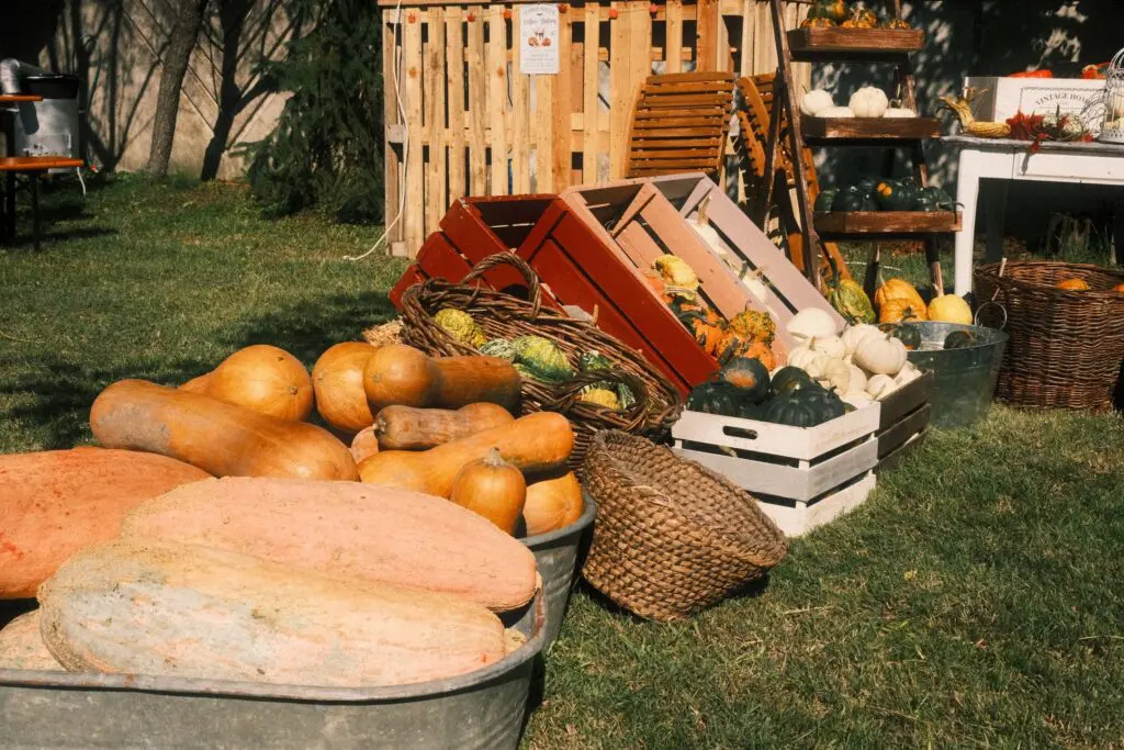 Tök jó farm – Farma Moja tekvička (Szlovákia)