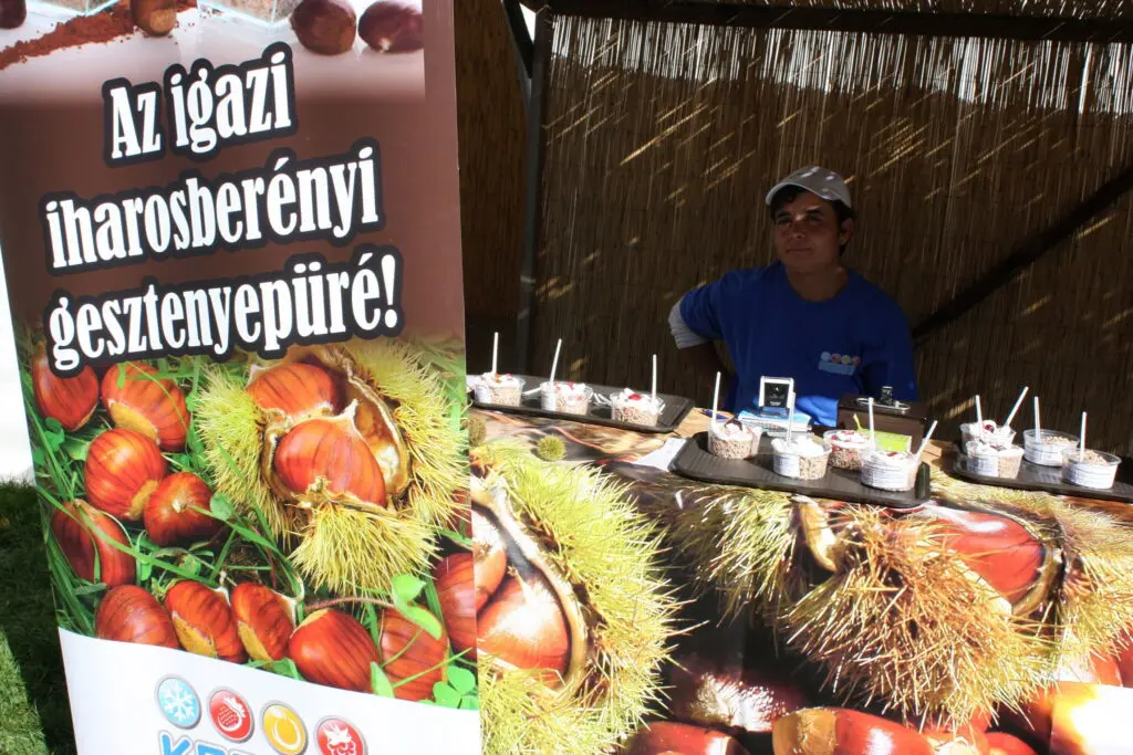 Berényi Gesztenye Fesztivál 