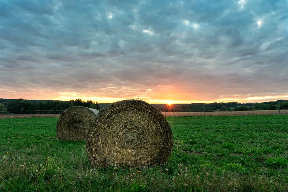 Őrségi Nemzeti Park
