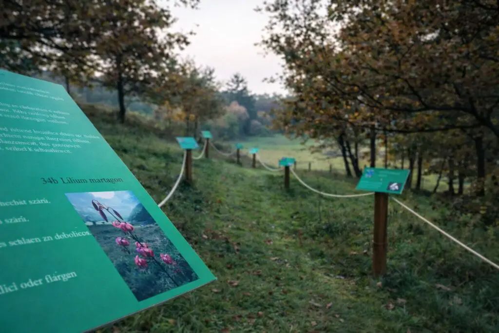Tanösvény a Tűzlepke Öko-élményparkban