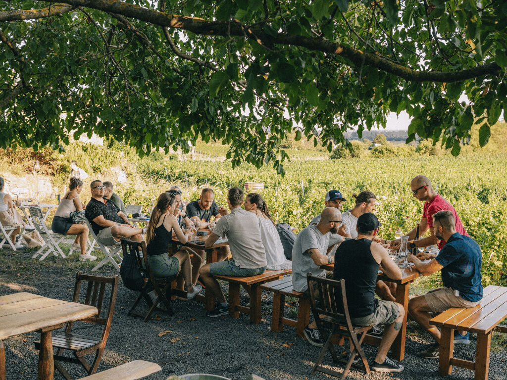 Hangulatos borteraszok a Balaton-felvidéken