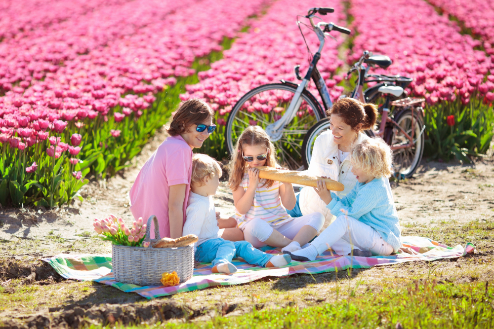 Piknik-tulipanszuret-Szolosgyorokon-a-Balatonnal