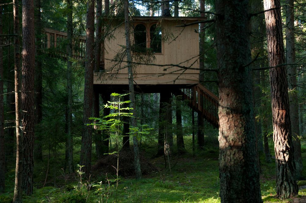 Elbűvölő lombházak – aludj a fák lombjai között!