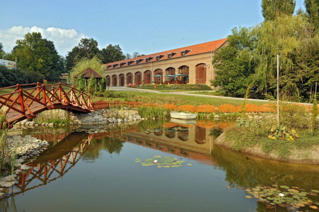 Bőszénfai szarvasfarm - az ország egyik legkülönlegesebb vadasparkja