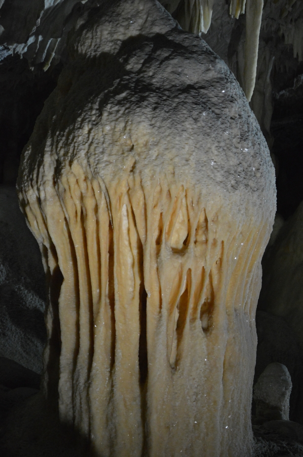 Postojna cseppkőbarlang