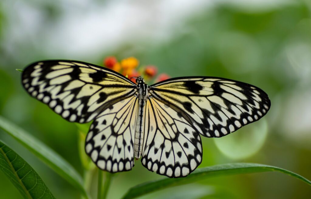 Hova menjünk rossz időben gyerekkel? Játszóházak, izgalmas programok és gyerekbarát szálláshelyek