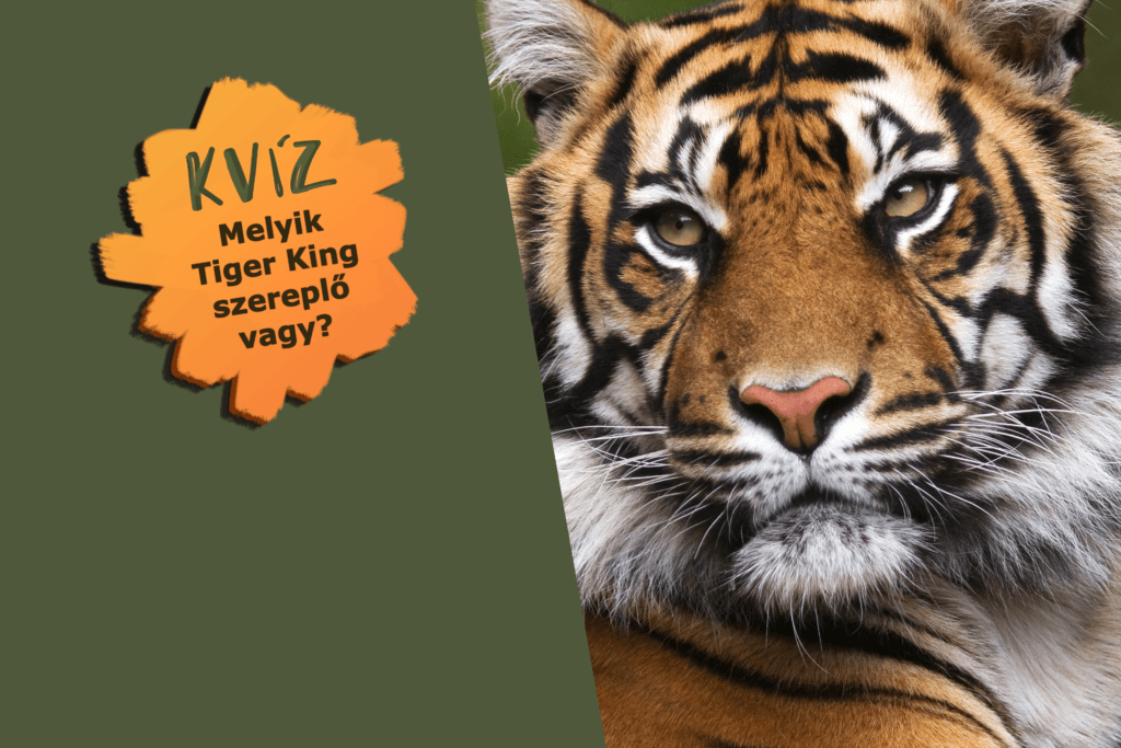 Te melyik Tiger King karakter vagy? 8 egzotikus állatkert rajongóknak