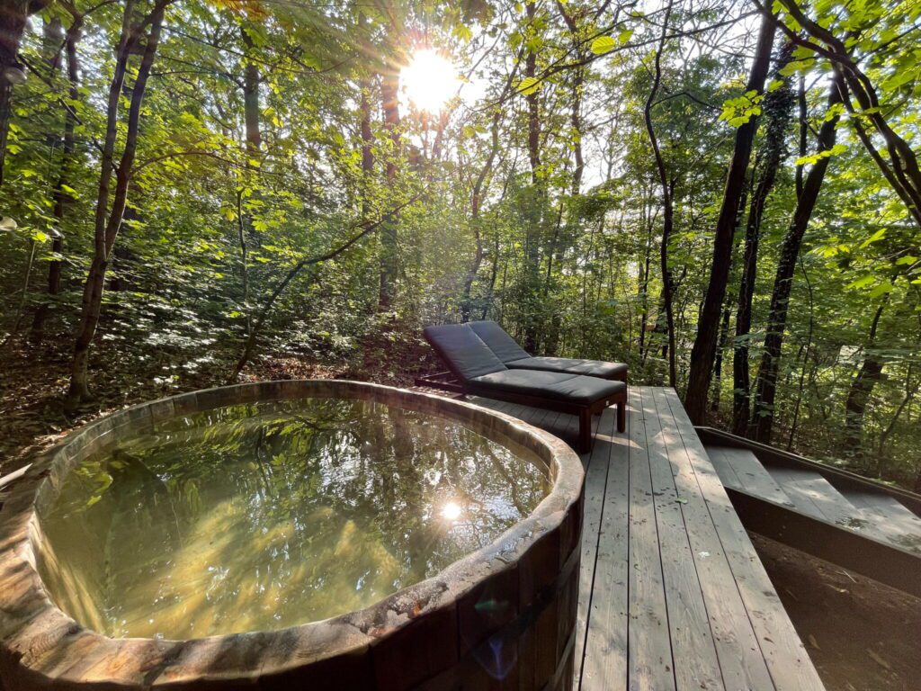 TOP 15 erdei szállás a Bükkben - listába szedtük a legjobb önálló vendégházakat!