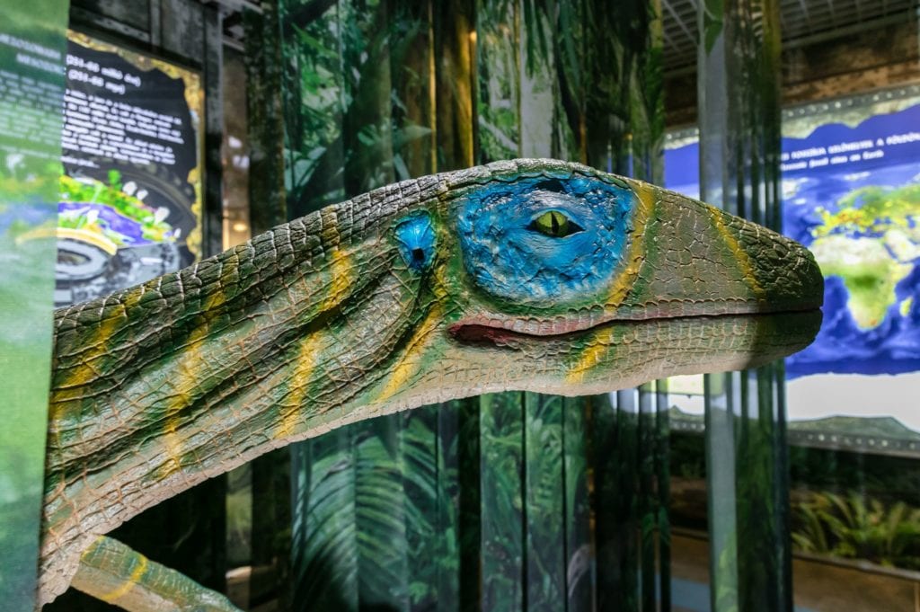 A legjobb dinóparkok és dinós kiállítások az országban