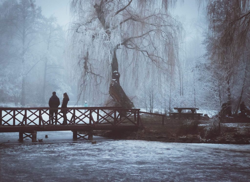 A legszebb téli fotótémák Magyarországon - Hóba burkolt kedvenceink
